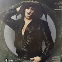 Steve Miller Band – The Joker 1973 - Image 2