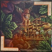 Spyro Gyra – Catching The Sun 1980 - Image 2