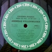 Andreas Vollenweider – Caverna Magica (...Under The Tree - In The Cave...) 1983 - Image 3