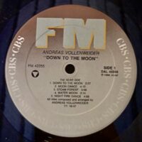 Andreas Vollenweider – Down To The Moon 1986 - Image 5