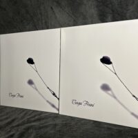 Gaga Frani-ს სადებიუტო ალბომი - Image 8