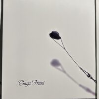 Gaga Frani-ს სადებიუტო ალბომი - Image 9