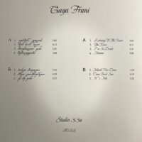 Gaga Frani-ს სადებიუტო ალბომი - Image 4