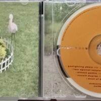 Steely Dan – Two Against Nature 2000 - Image 3