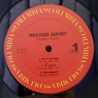 Weather Report – Domino Theory 1984 - Image 3